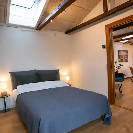 Skylight - Private Terrace, Free Parking & Walk To הורסנס